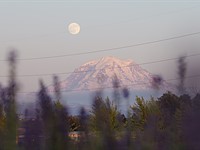 Panasonic Lumix S5 II X sample gallery