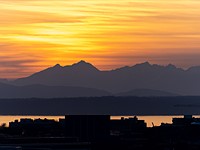 Tamron 70–300mm F4.5–6.3 Di III RXD sample gallery