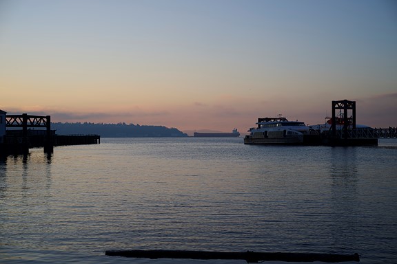 DSC 0871.acr