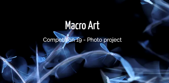 Macro Art Competition