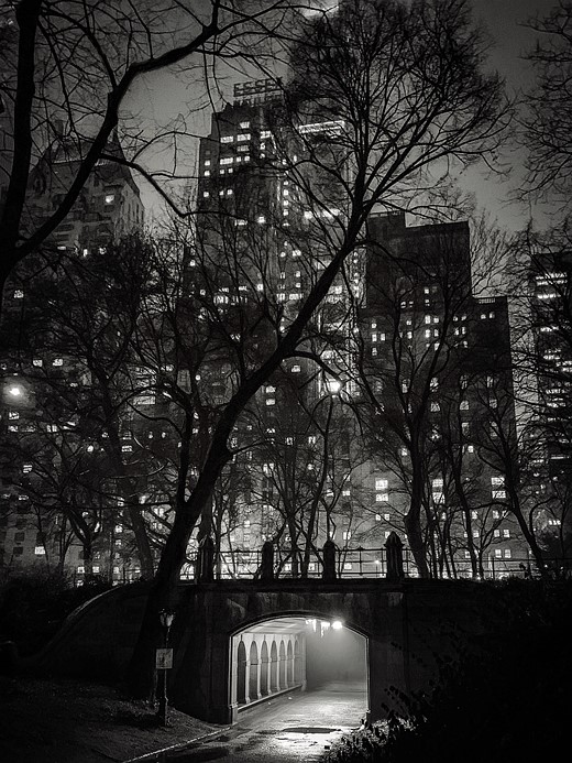 © IPPAWARDS - Carol Addassi - United States