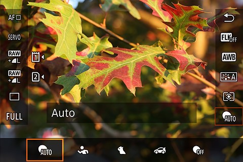 canon af interface