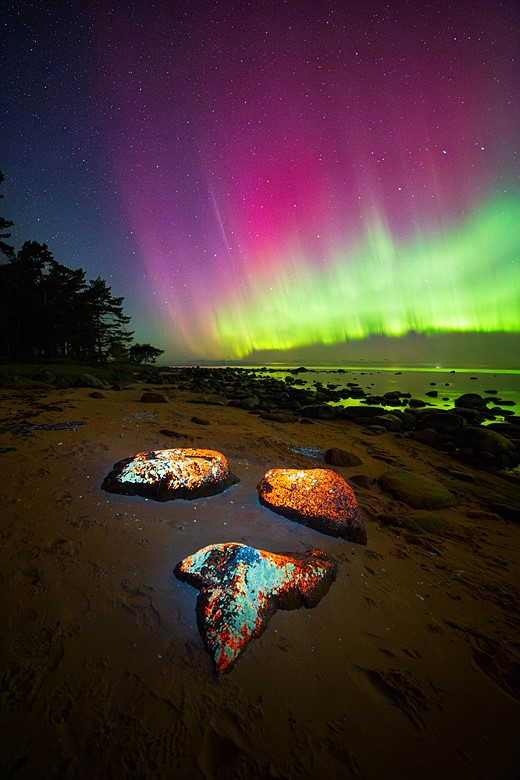 “Neon Nightfall” – Andres Papp