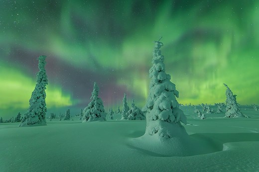 “Frozen Silence Beneath the Lights” – Nikki Born