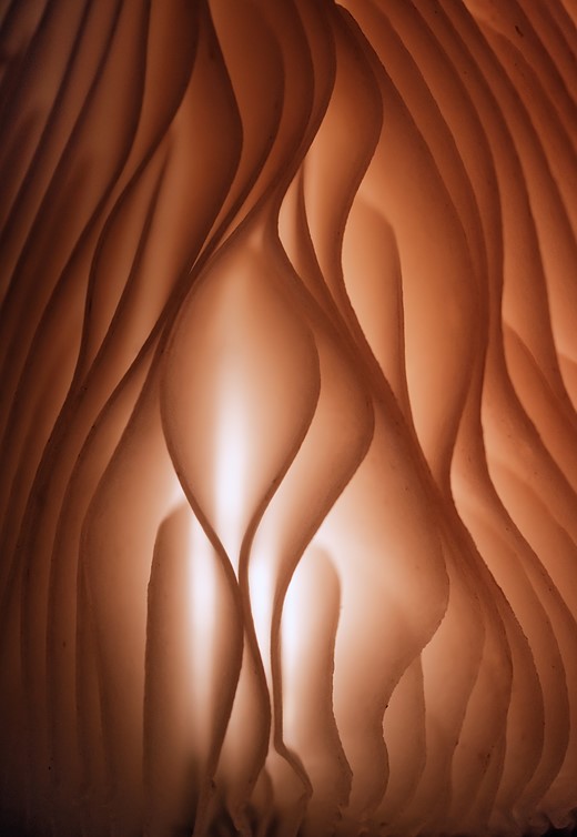 1st-Fungi-Mushroom in the Nude Style-Valeria Zvereva-CUPOTY 7