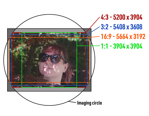 L10 sensor diagram with portrait