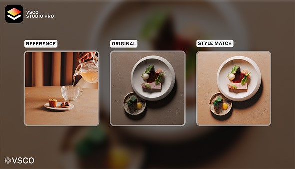 VSCO-Studio-Pro---Style-Match